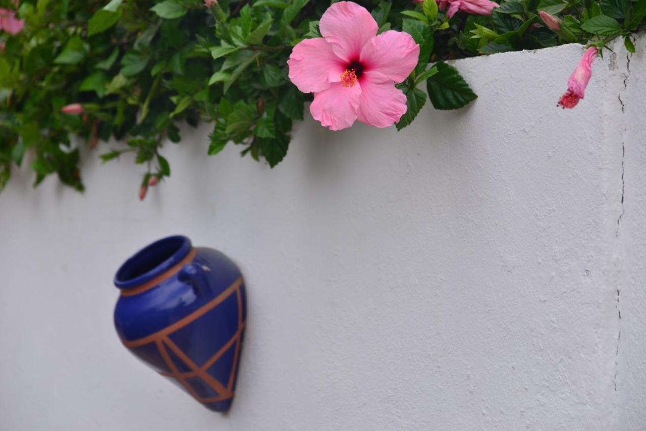 Villa Isabelita Torremolinos Exterior photo